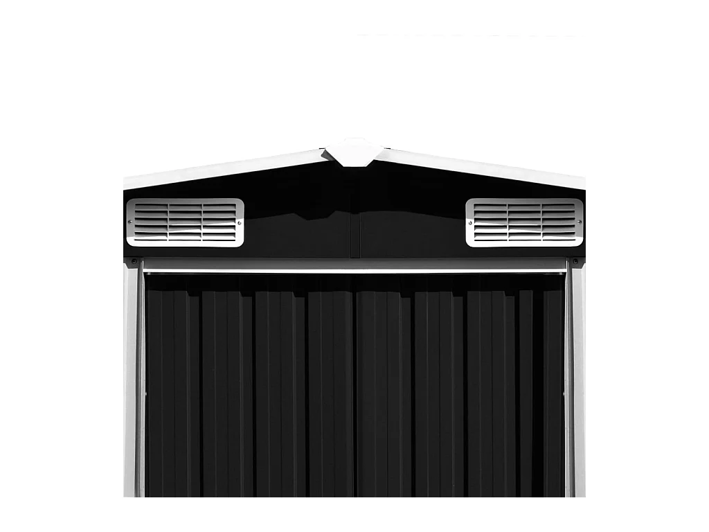 Abri de jardin 257x580x181 cm Métal Anthracite