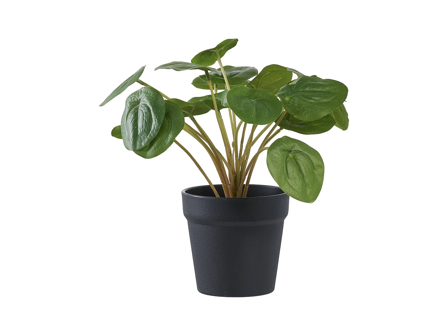 Pelia arte legno altezza 28cm verde.