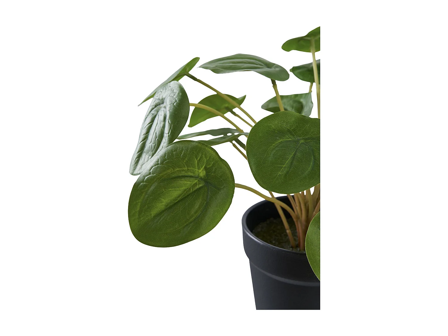 Plante artificielle Pilea plante à monnaie chinoise verte 28 cm