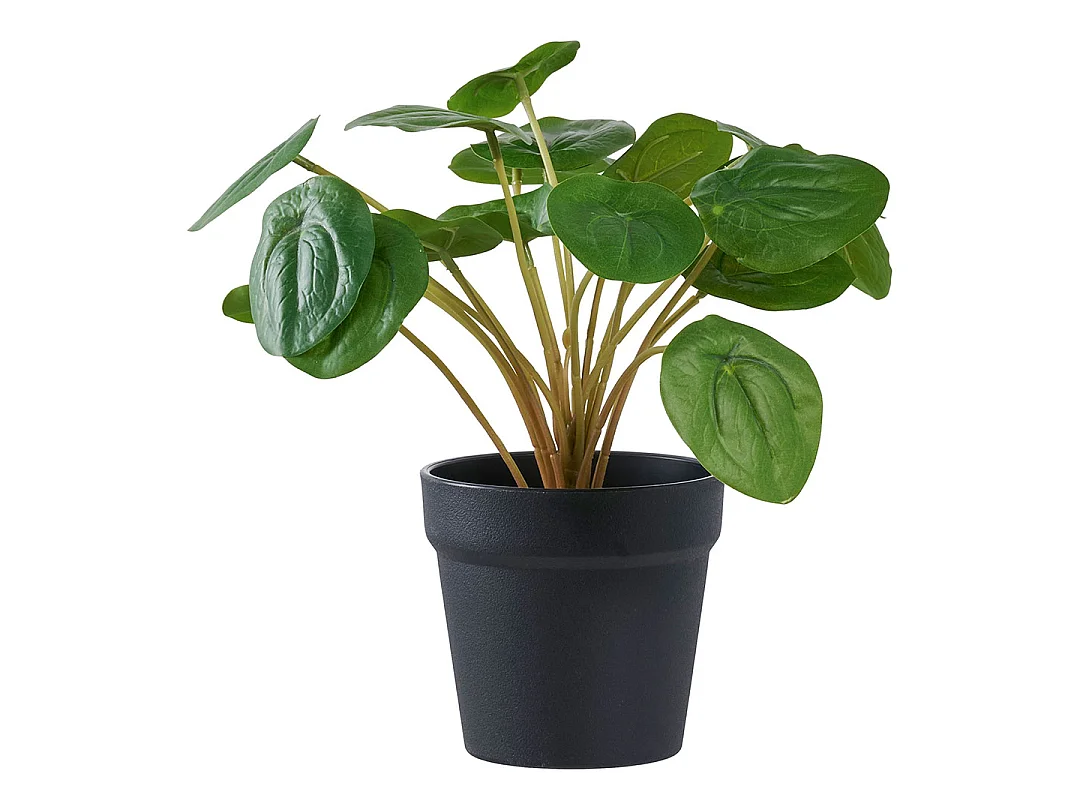 Pelia arte legno altezza 28cm verde.