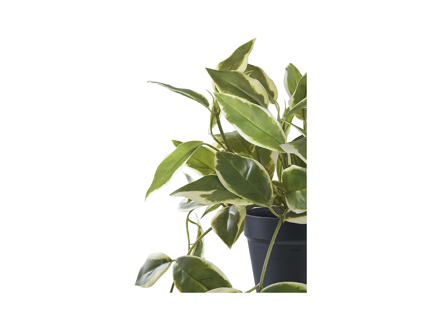 Planta artificial Hoya Carnosa flor de porcelana verde 33 cm