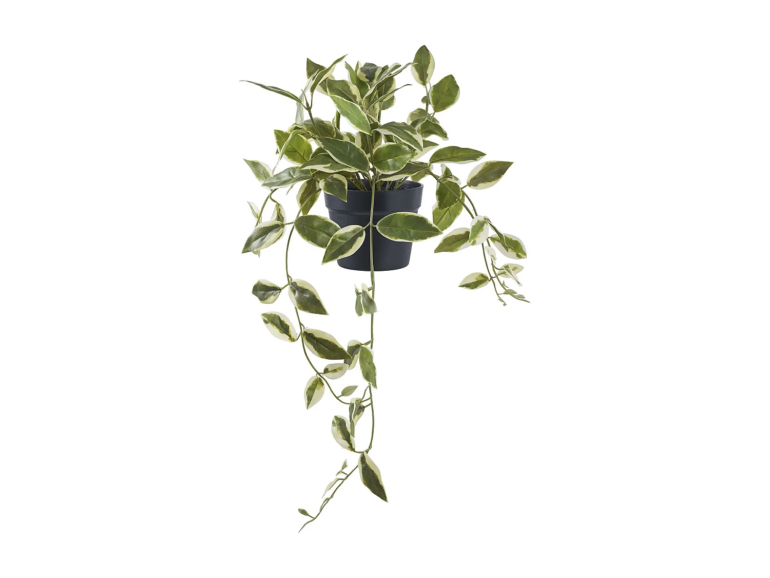 Plante artificielle Hoya Carnosa fleur de porcelaine verte 33 cm