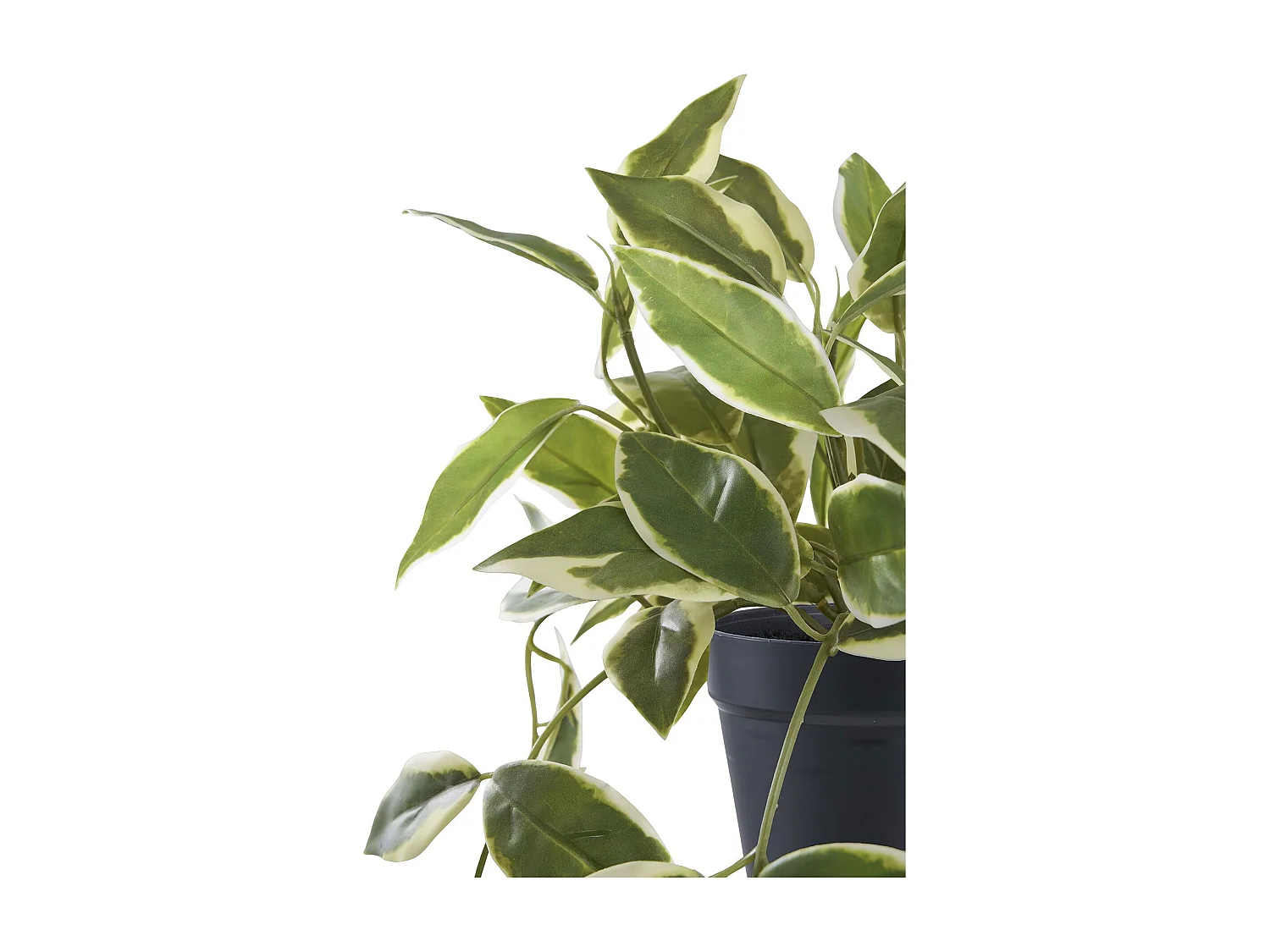Plante artificielle Hoya Carnosa fleur de porcelaine verte 33 cm