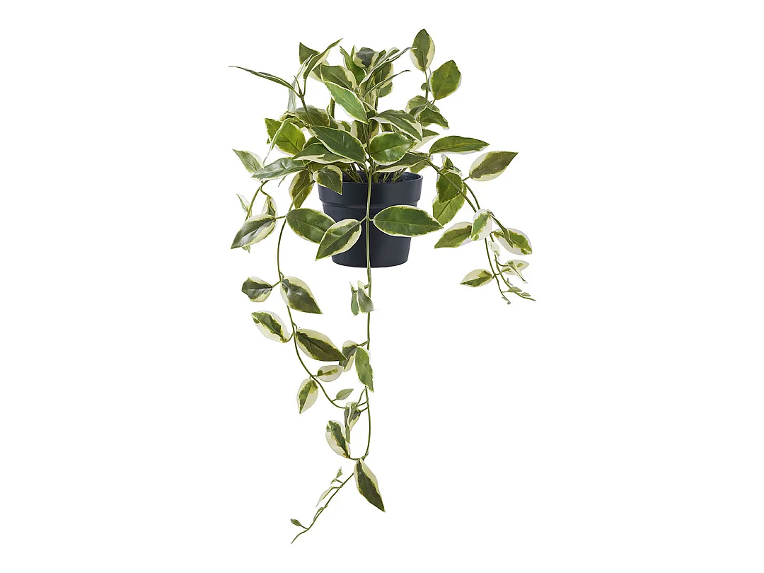 Voksblomst Kunstbaum Höhe 33cm grün.