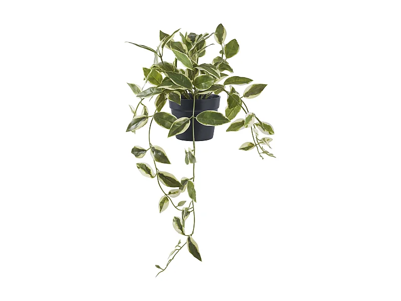 Plante artificielle Hoya Carnosa fleur de porcelaine verte 33 cm
