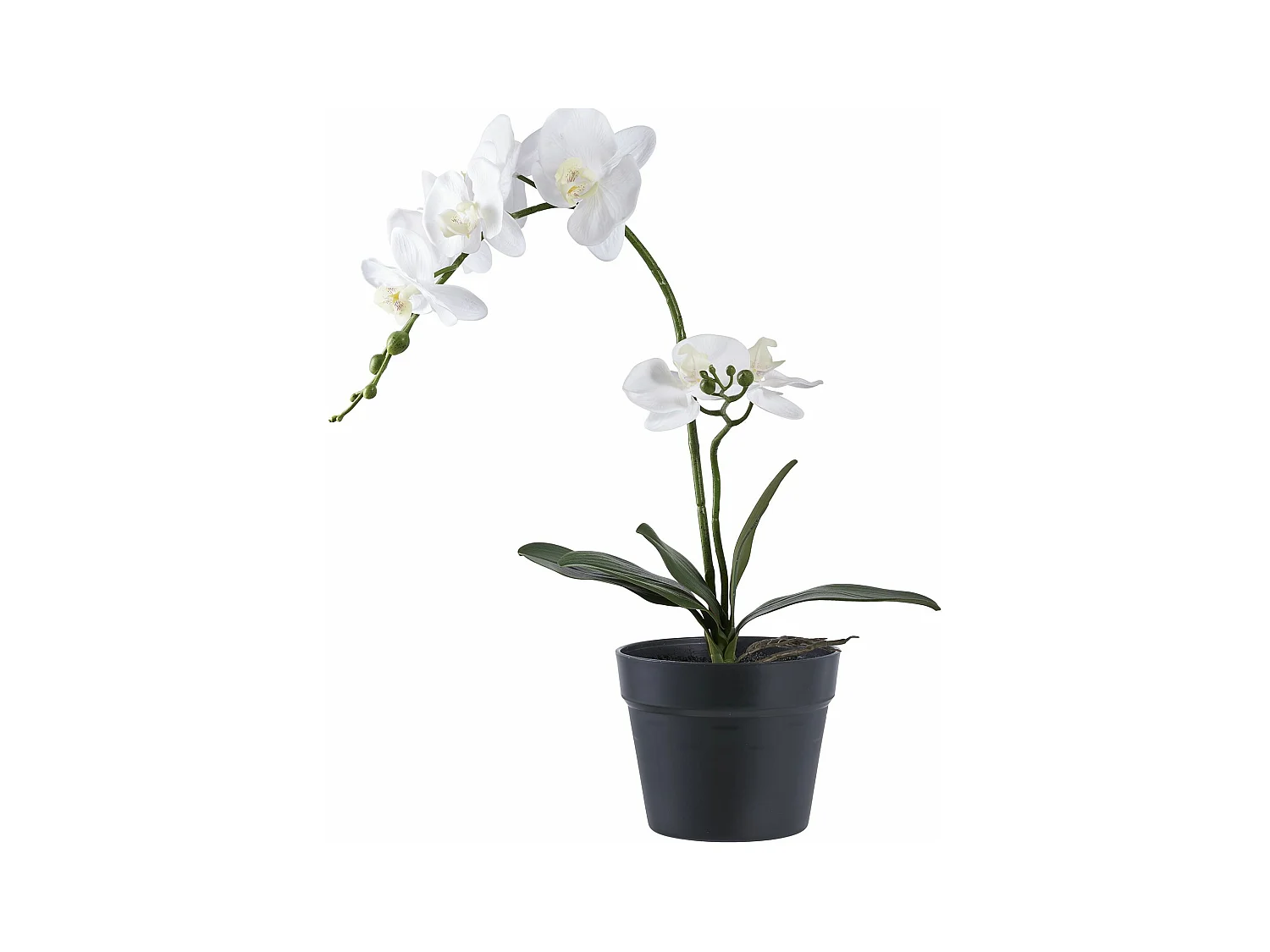 Planta artificial Orquídea verde y blanca 49 cm