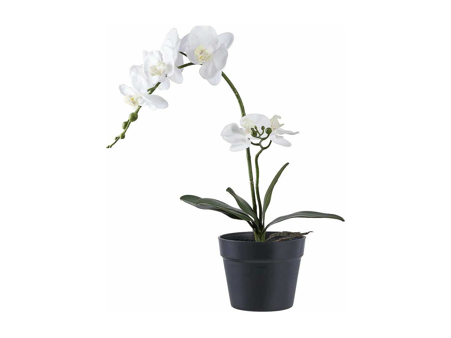 Plante artificielle Orchidée verte et blanche 49 cm