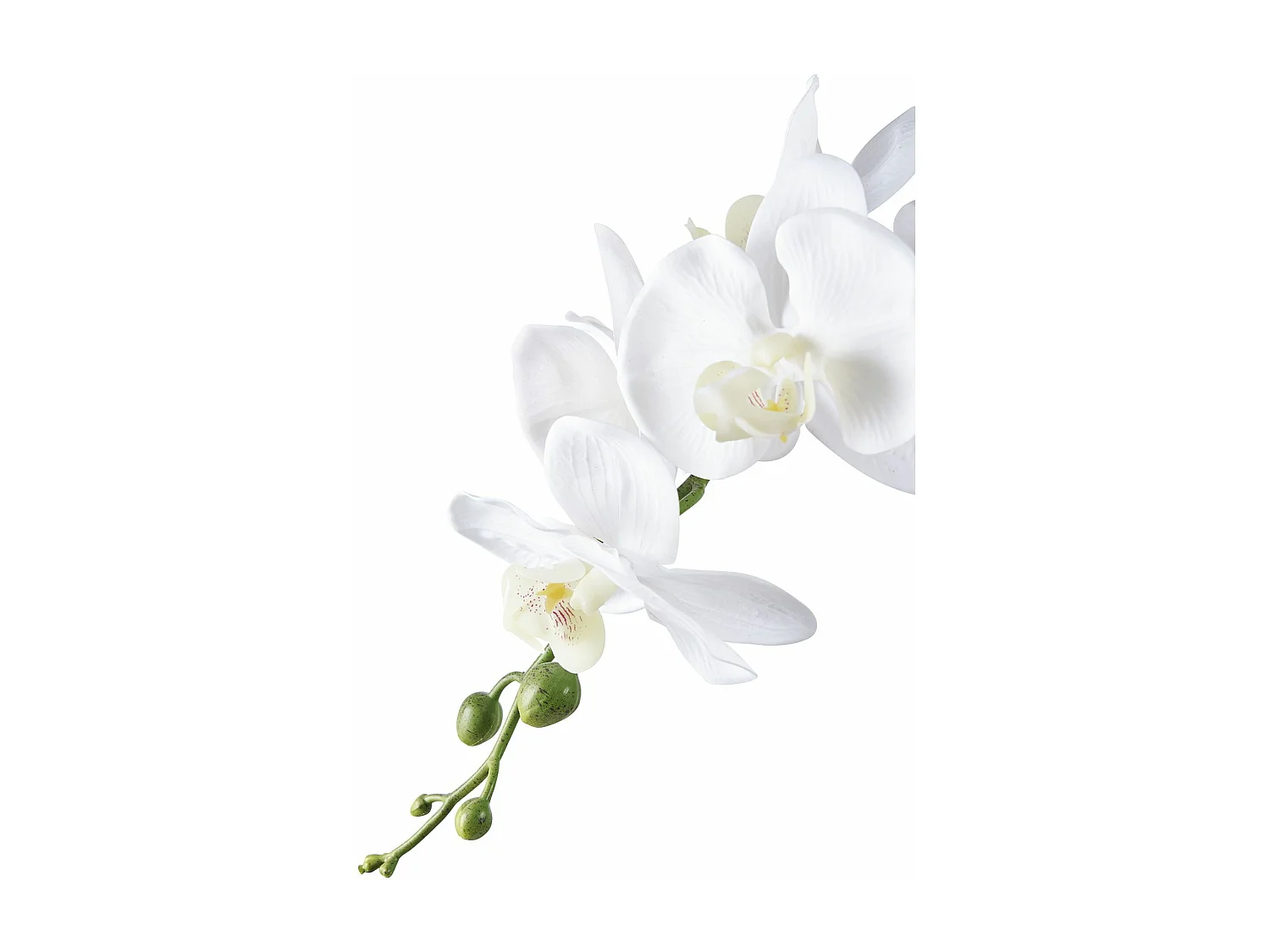 Plante artificielle Orchidée verte et blanche 49 cm