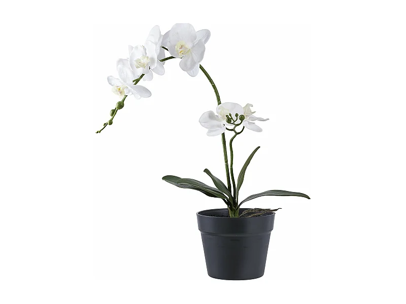Plante artificielle Orchidée verte et blanche 49 cm