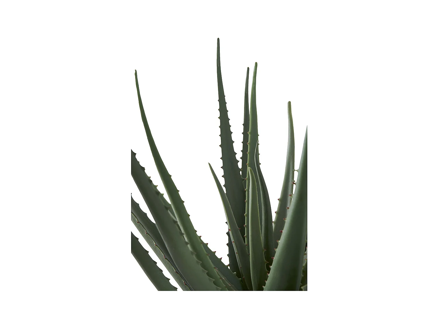 Planta artificial de aloe vera verde 51 cm