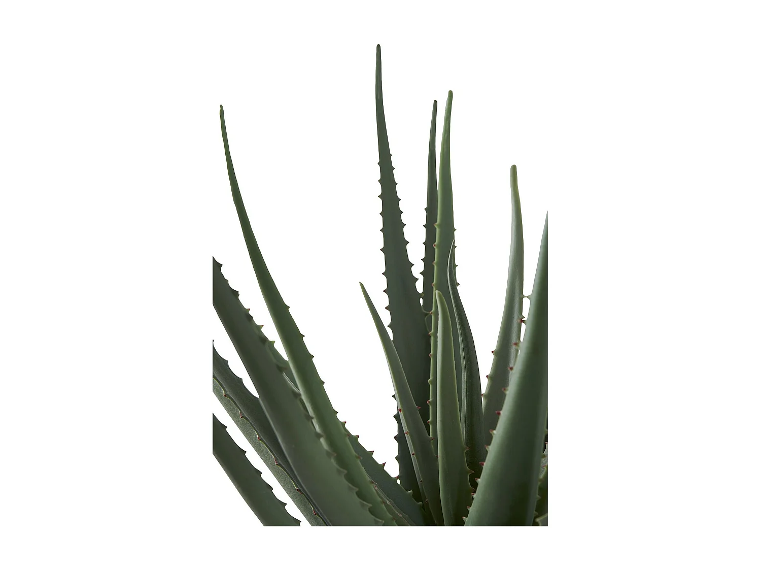 Aloe Vera Kunstbaum Höhe 51cm grün.