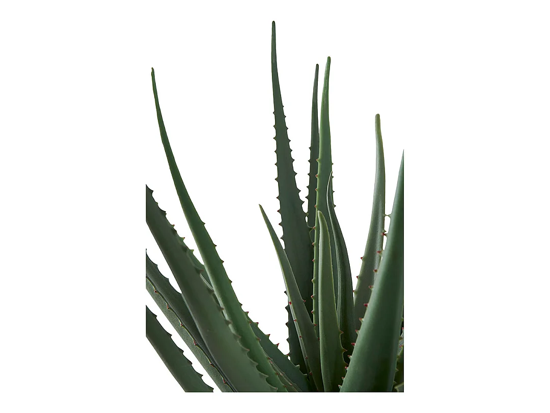 Aloe Vera Kunstbaum Höhe 51cm grün.