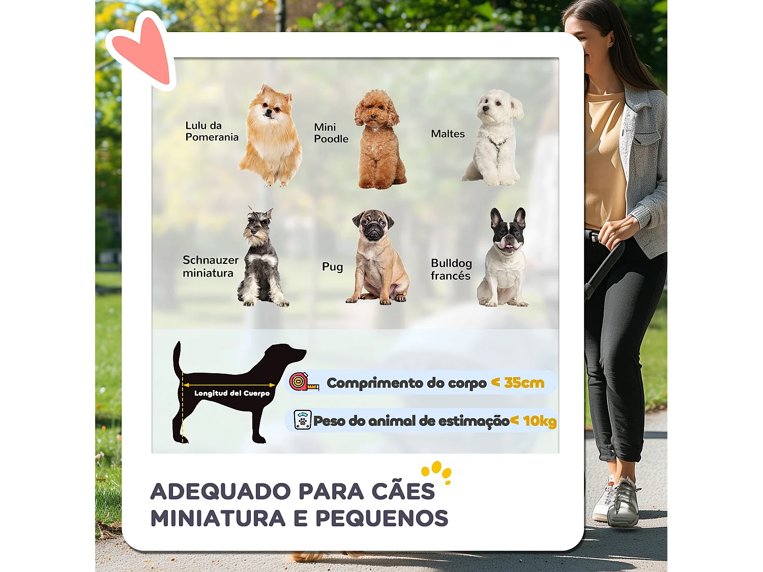 Carrinho de Passeio Dobrável para Animais de Estimação com Capô Ajustável e Armazenamento - PawHut Preto