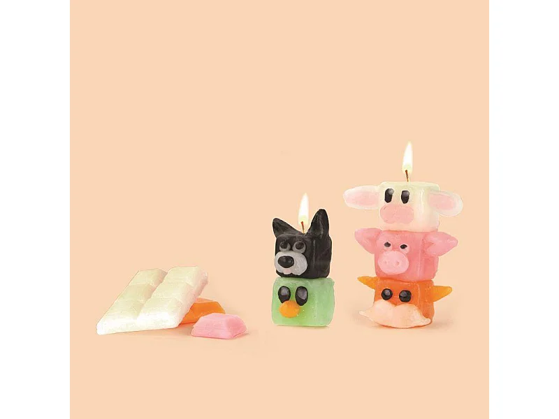 Coffret pour enfants - Bougies à modeler - Les totems animaux