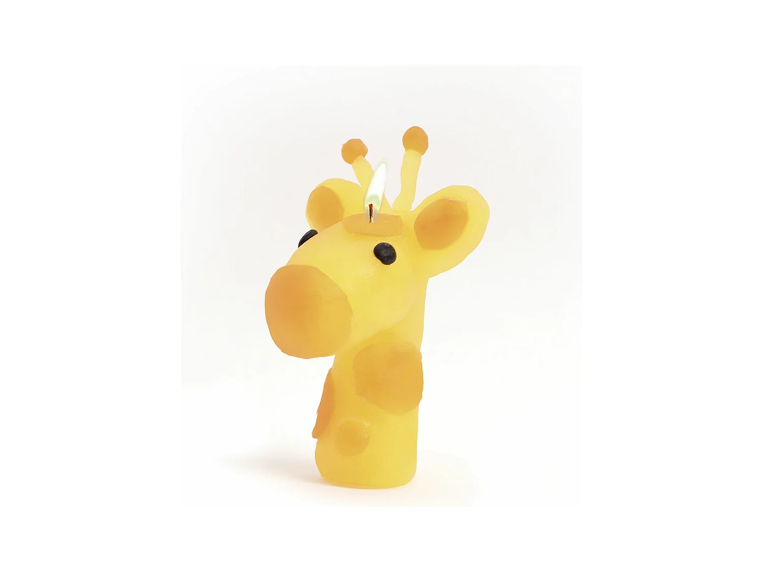 Coffret DIY bougies à modeler Animaux sauvages