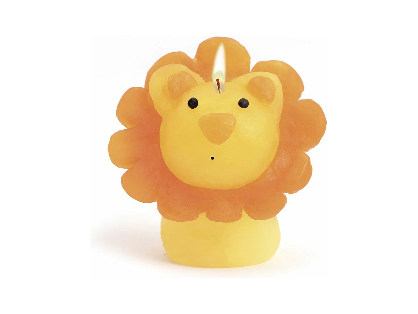 Coffret DIY bougies à modeler Animaux sauvages