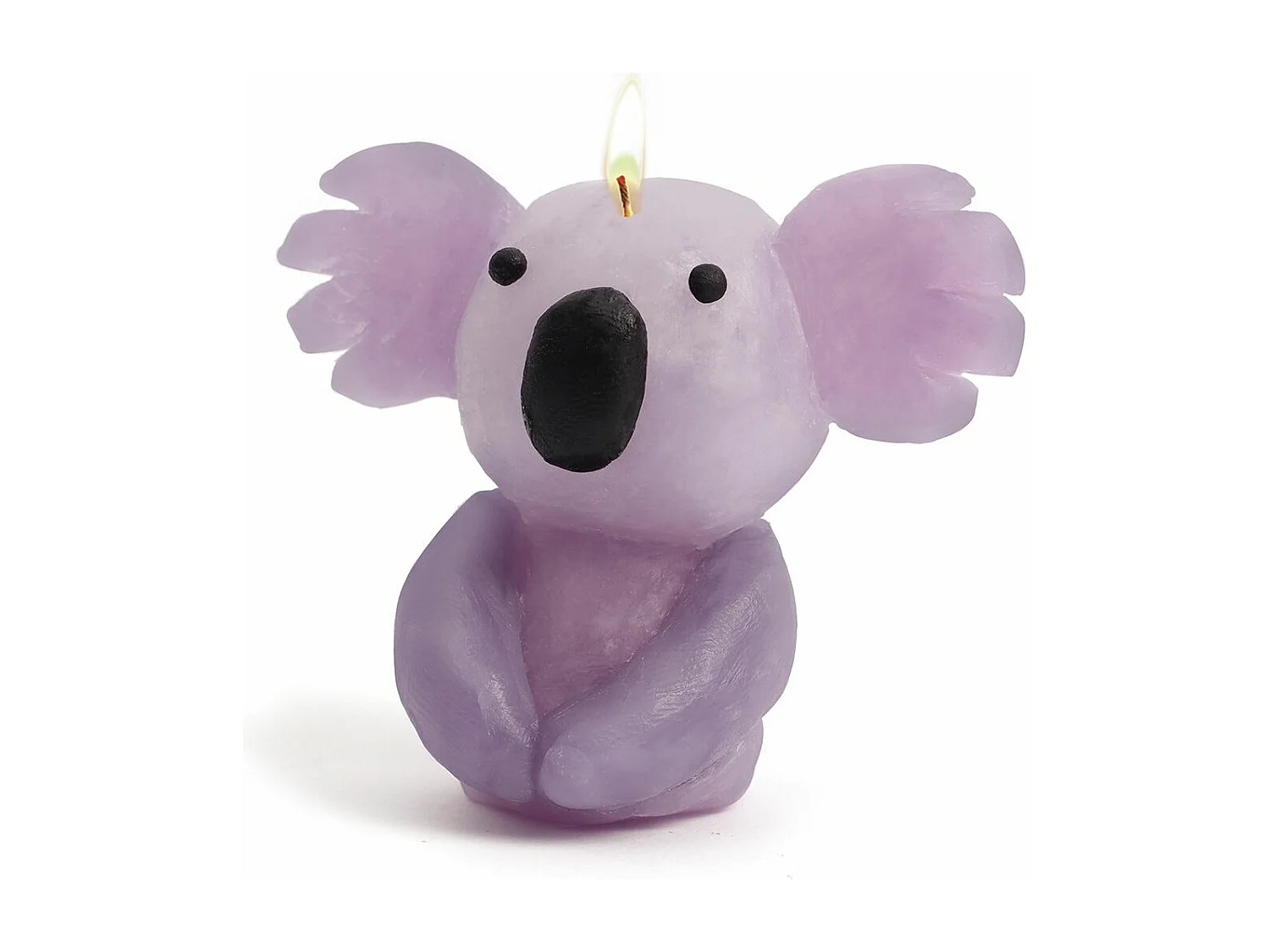 Coffret DIY bougies à modeler Animaux sauvages