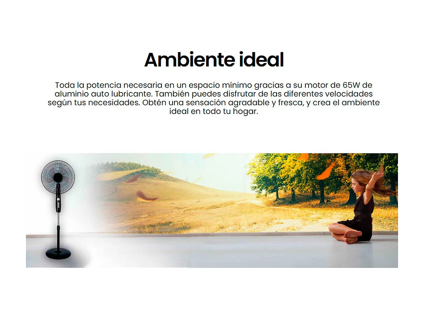 Ventilador de pie Infiniton IF-45M 65W 3 velocidades altura regulable acero inox