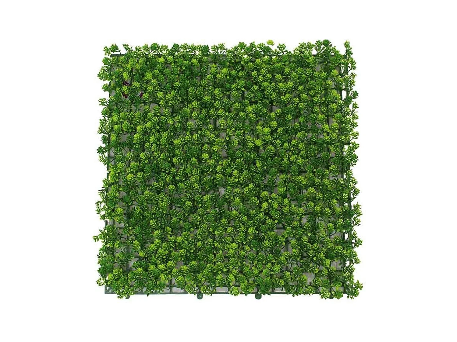 Jardín vertical artificial de suculenta verde 50x50 cm