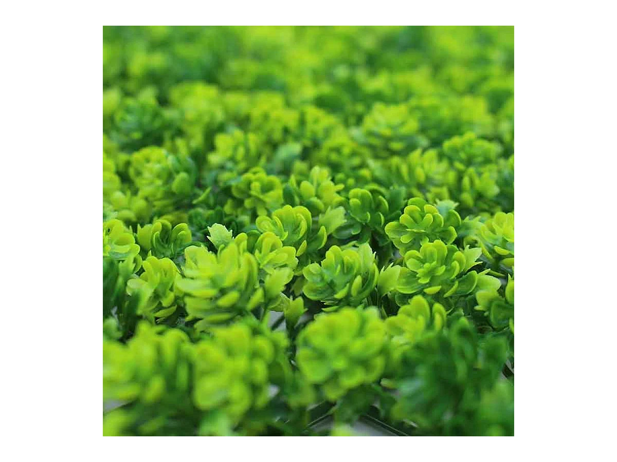 Pack de 4 planchas de jardín vertical artificial suculenta verde