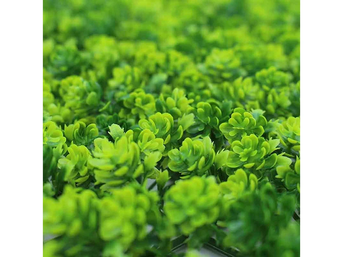 Pack de 4 planchas de jardín vertical artificial suculenta verde