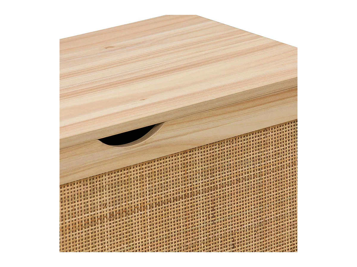 Tronc auxiliaire de pin 80x40x40 cm