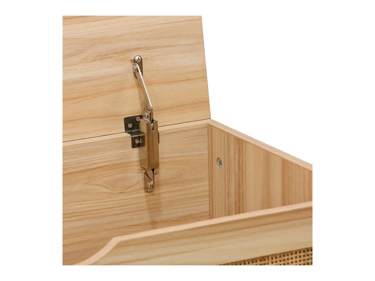 Tronc auxiliaire de pin 80x40x40 cm