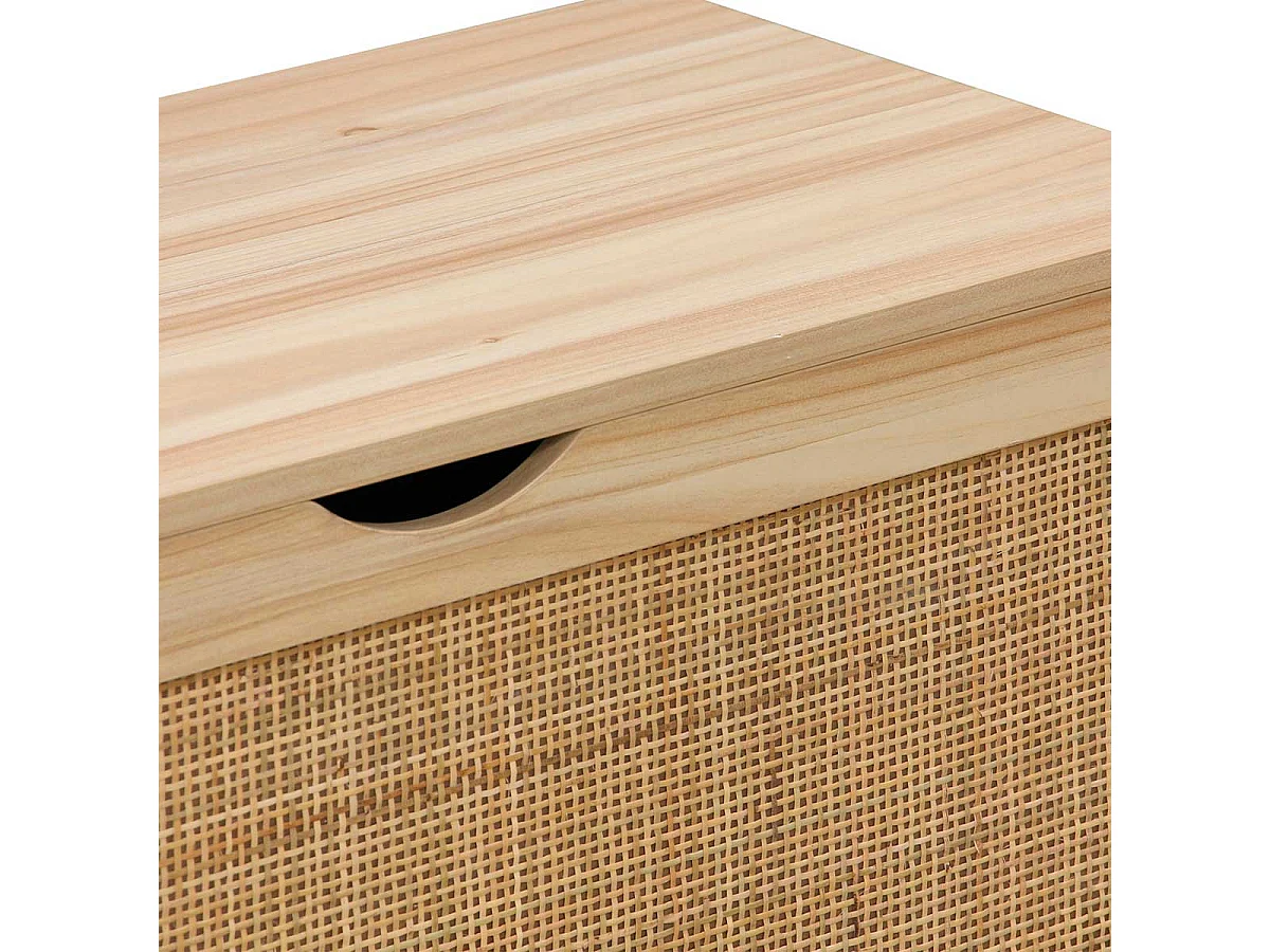 Tronc auxiliaire de pin 80x40x40 cm