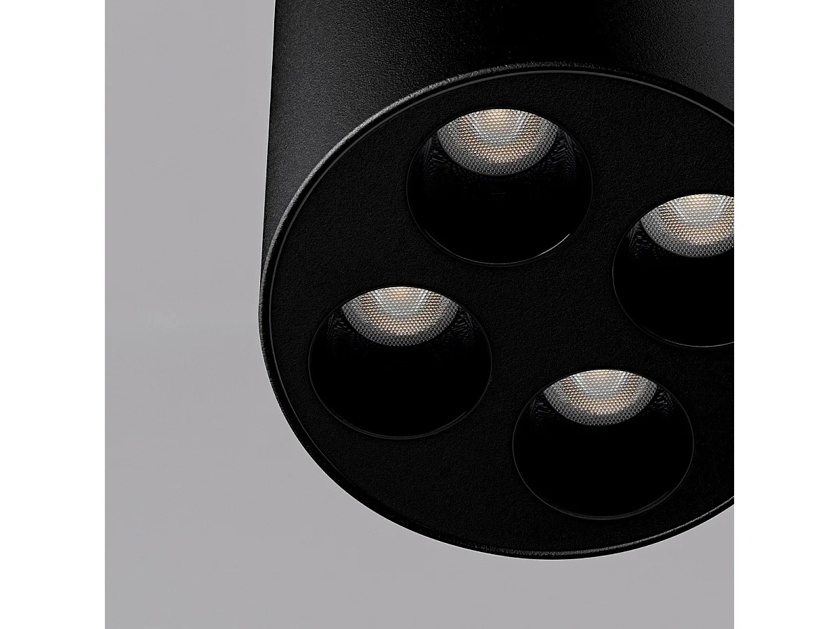 Plafonnier Auberon noir LED