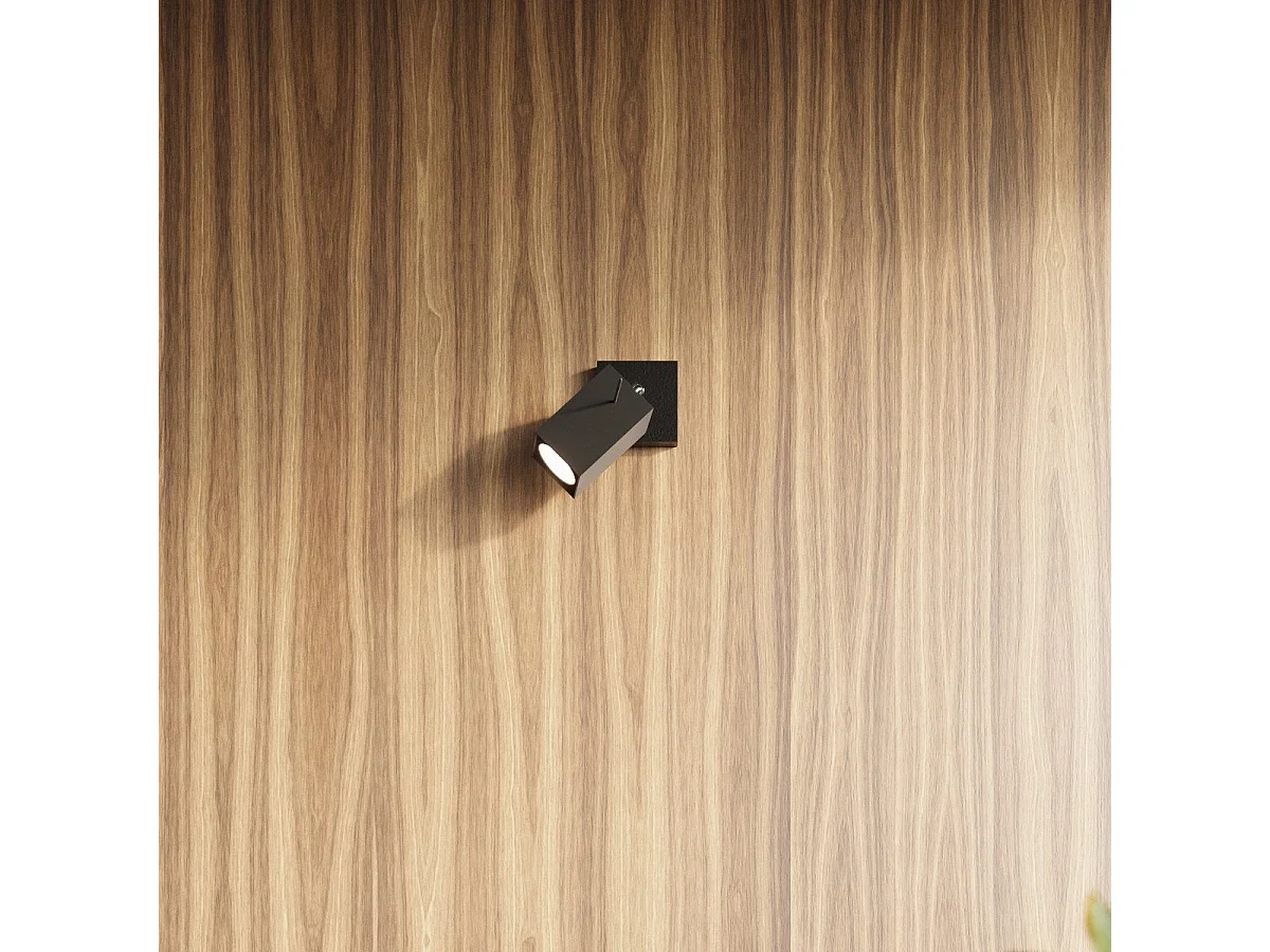 Plafonnier Radiara 4L noir