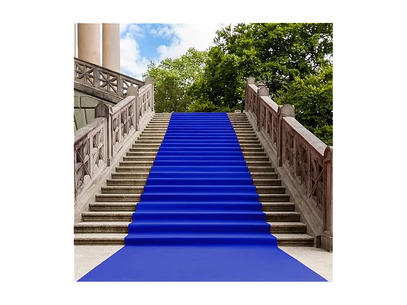 Tapijtgeleider voor binnen en buiten Blu Volturno H 1 x 30 m