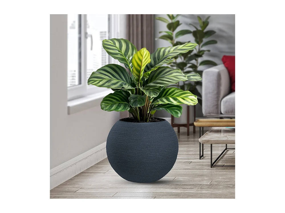 Jarrón de resina para plantas de interior y exterior, diseño esfera redonda d.40x33h Botticelli Gris