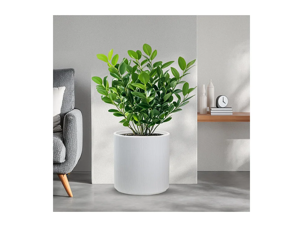 Jarrón de resina para plantas de interior y exterior, diseño cilíndrico redondo d.36x35h Modigliani Blanco