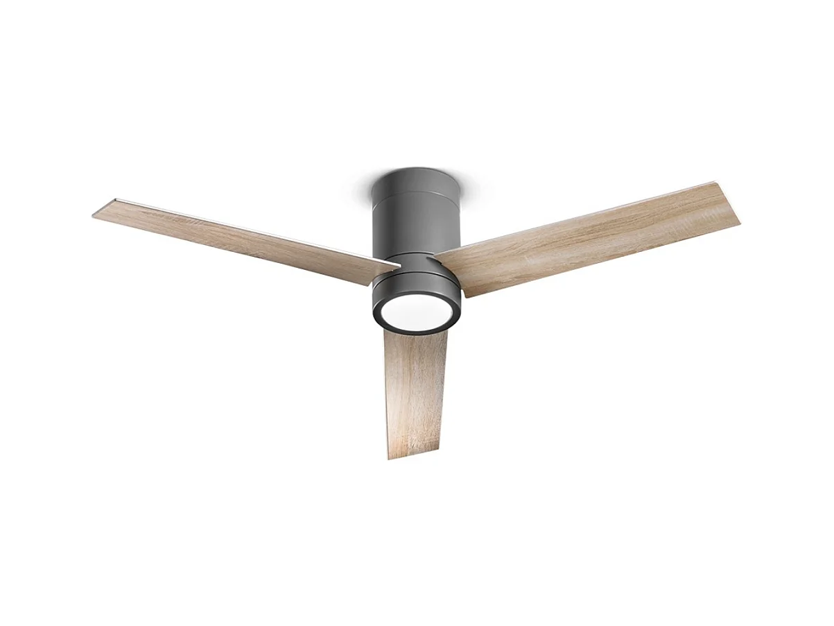Ventilateur de Plafond avec Lumière Perenz 7185 GR CT Noir d. 132 cm, 3 Pales, 6 Vitesses, Moteur DC 40W, Silencieux