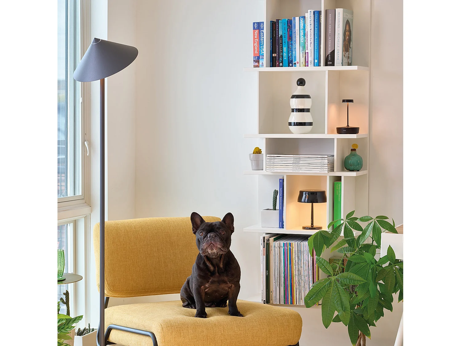 Lampadaire LED Zafferano Pina XXL titane, rechargeable, 6W IP65, variateur tactile, tête magnétique, lumière d'ambiance