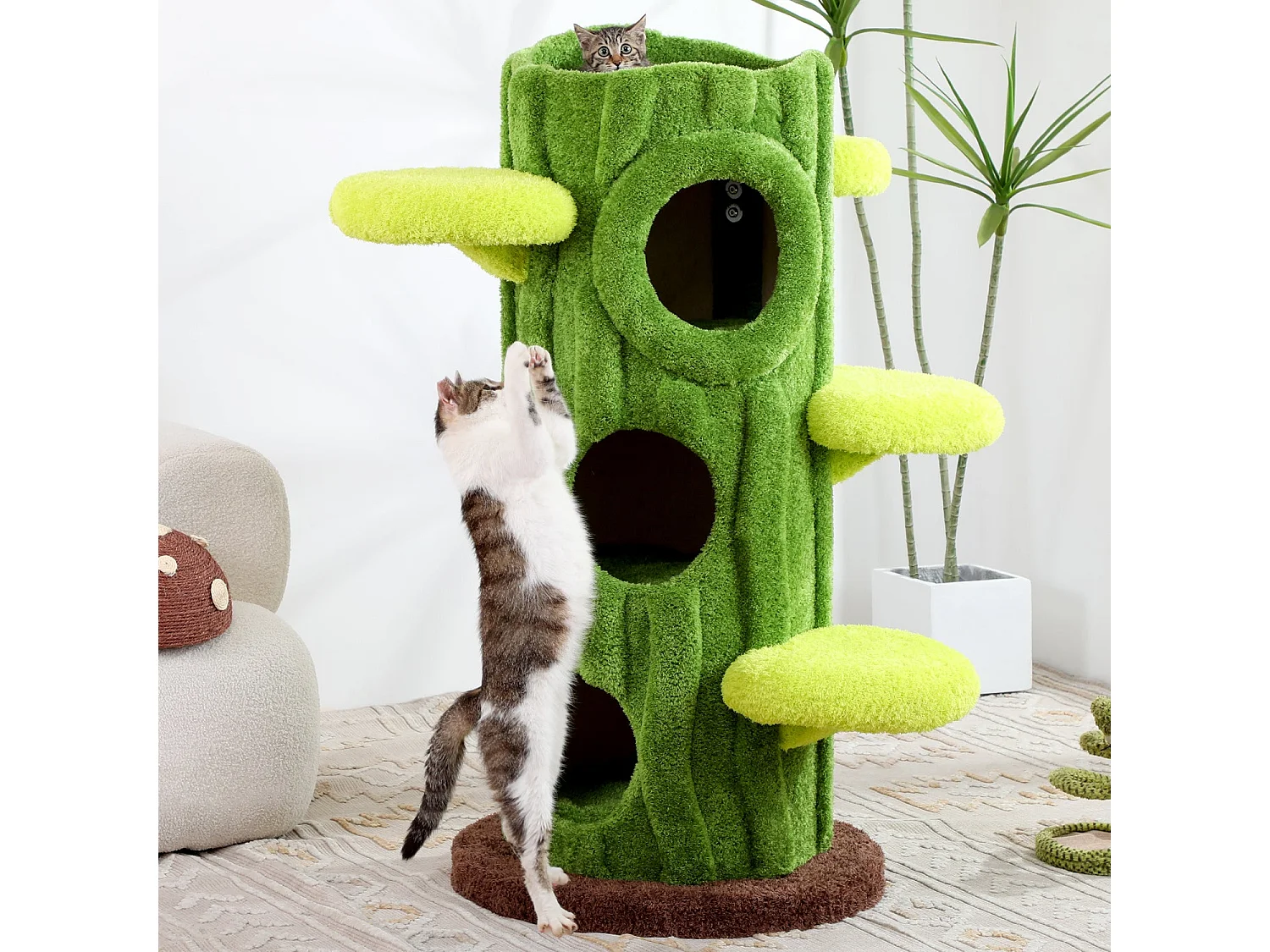 Arbre à chat en bois massif, d60cm×h120cm, vert