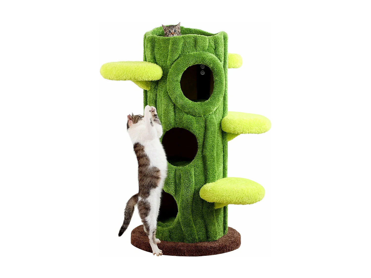 Arbre à chat en bois massif, d60cm×h120cm, vert