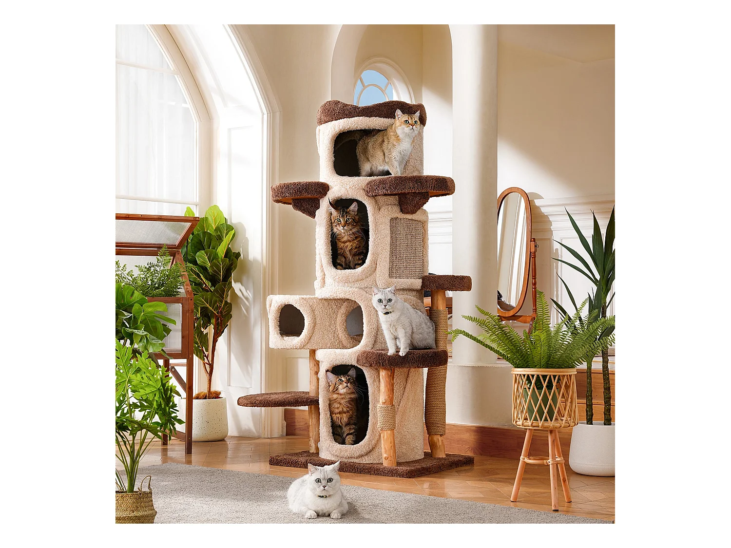 Arbre à chat en bois massif, d80cm×h176cm, beige