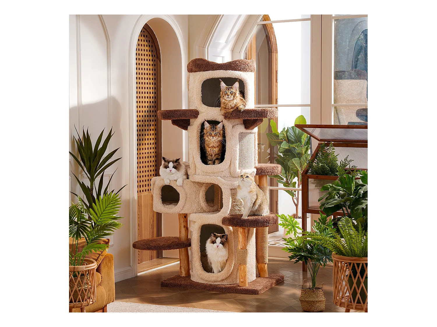 Arbre à chat en bois massif, d80cm×h176cm, beige