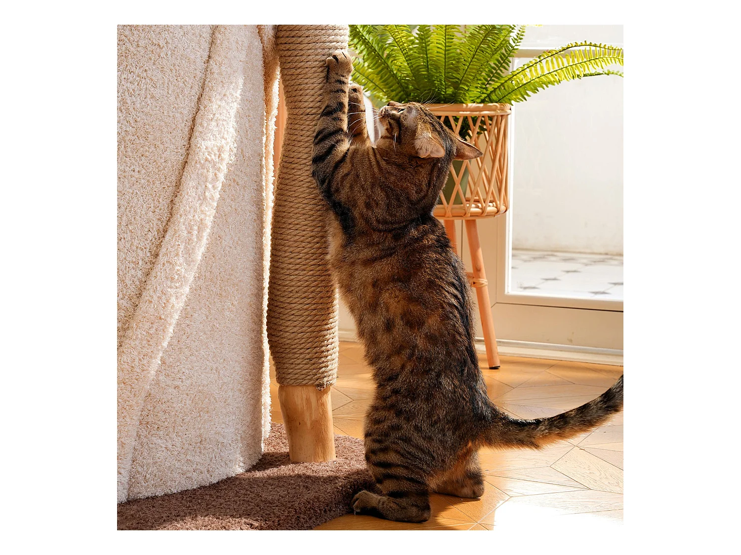 Arbre à chat en bois massif, d80cm×h176cm, beige