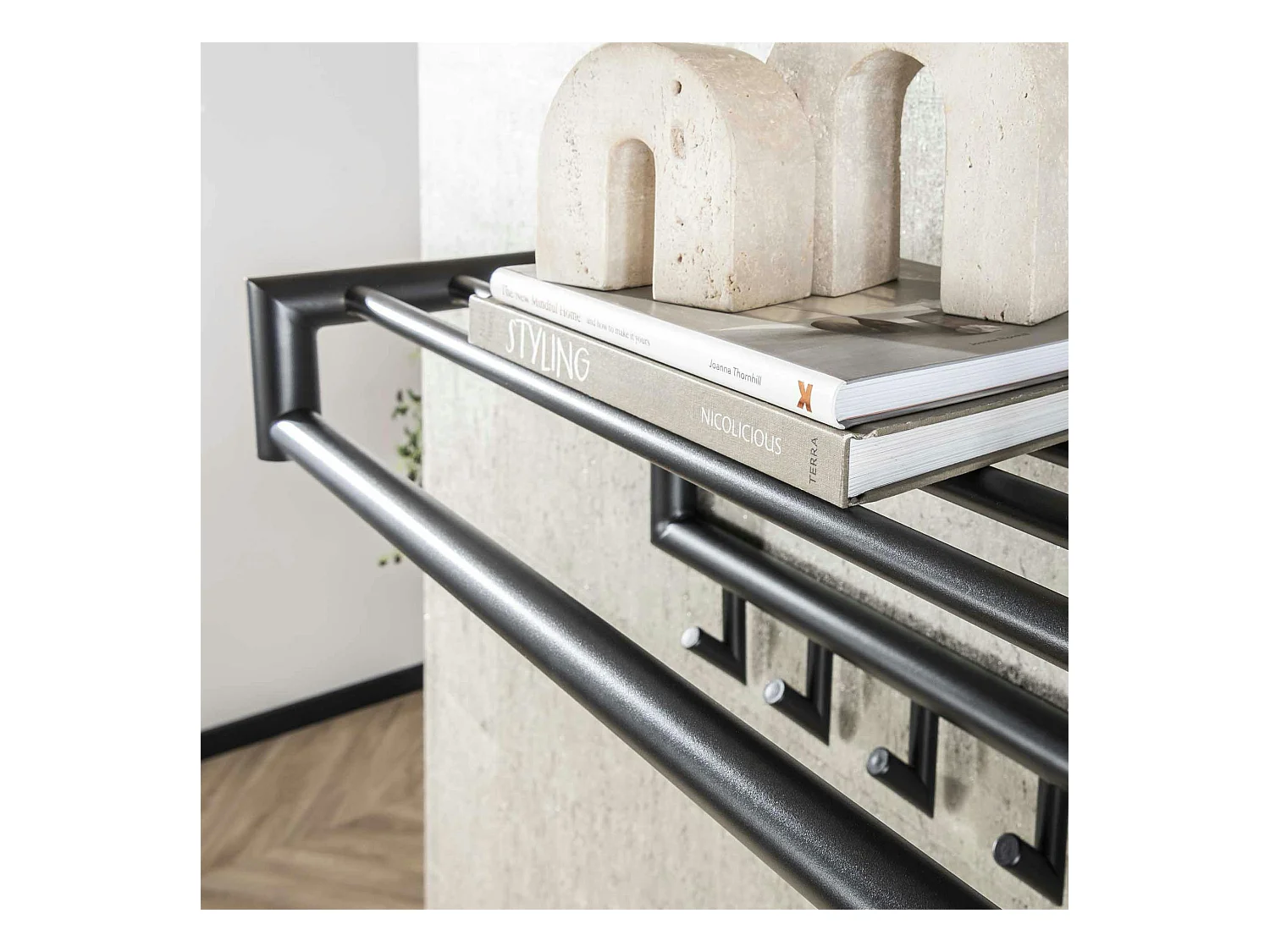 Portemanteau mural gris foncé 10 crochets, 1 tringle RALF