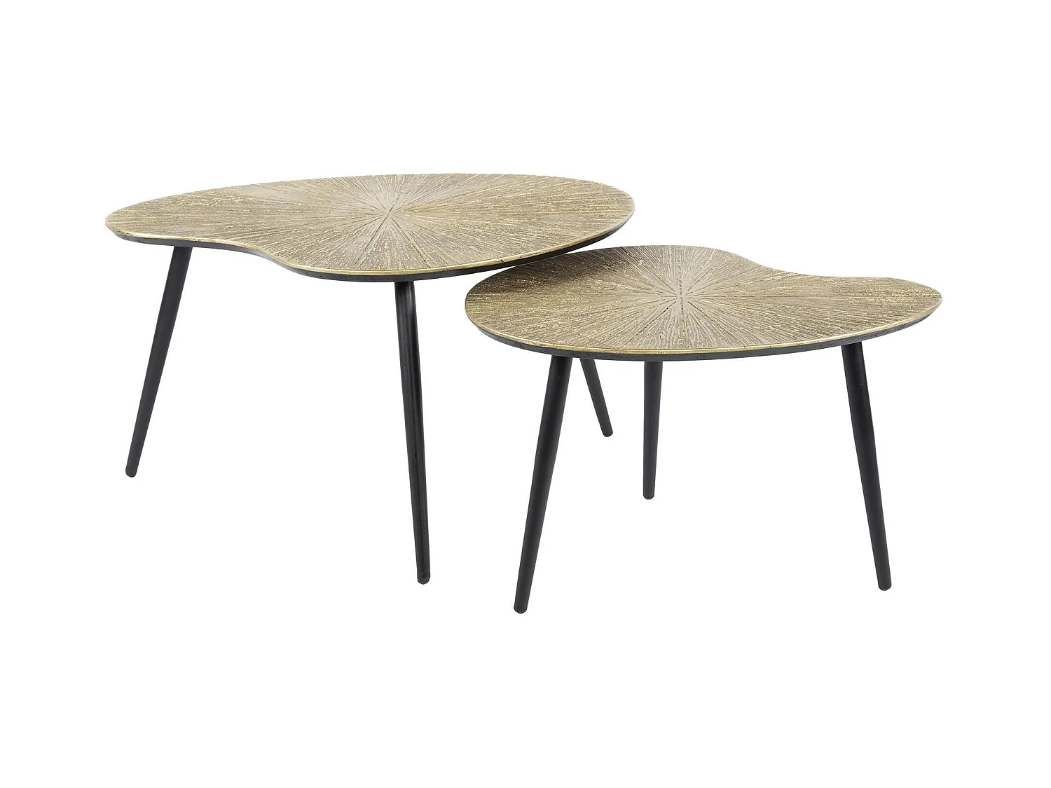 Table basse organique, feuille de ginkgo stylisée (lot de 2) RALF