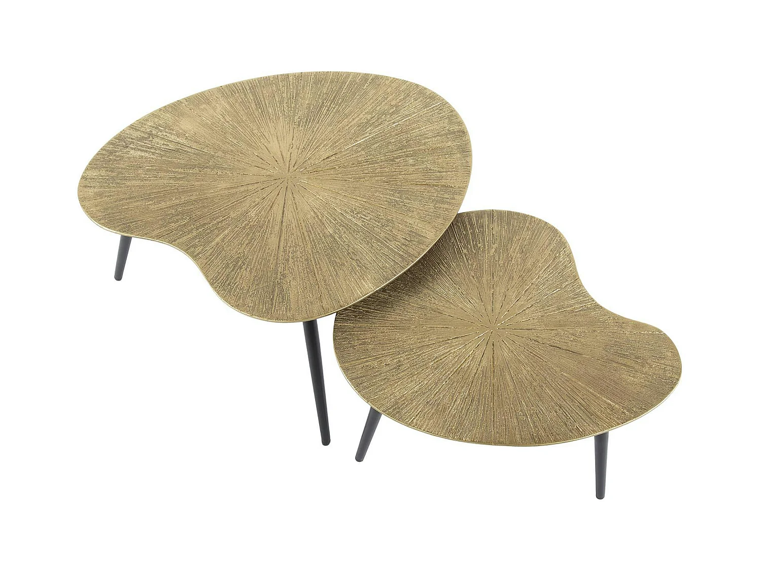 Table basse organique, feuille de ginkgo stylisée (lot de 2) RALF