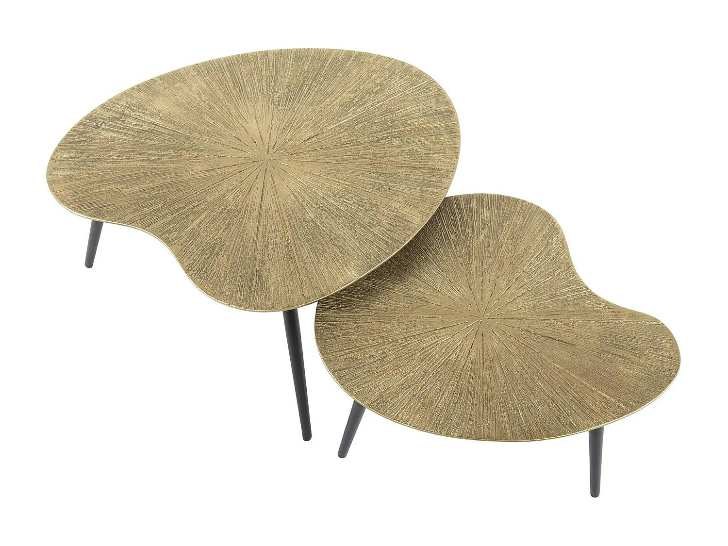 Table basse organique, feuille de ginkgo stylisée (lot de 2) RALF