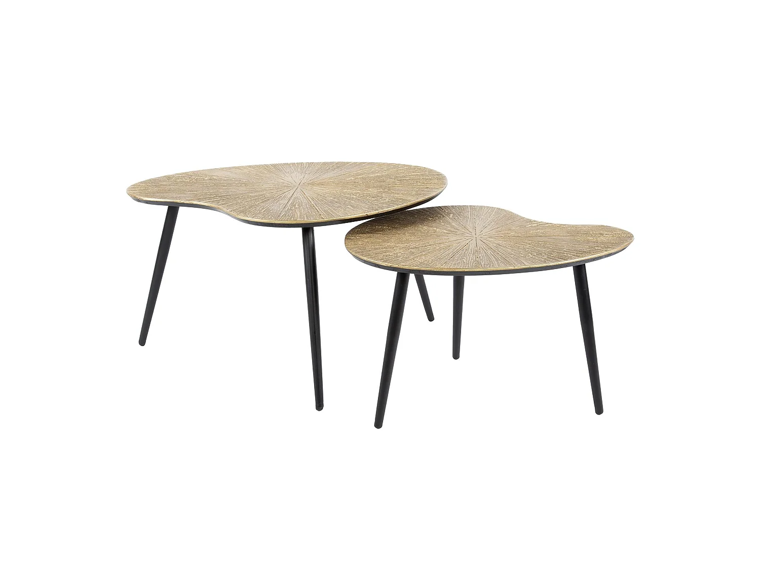 Table basse organique, feuille de ginkgo stylisée (lot de 2) RALF