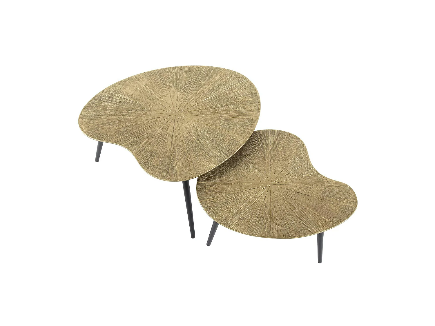 Table basse organique, feuille de ginkgo stylisée (lot de 2) RALF