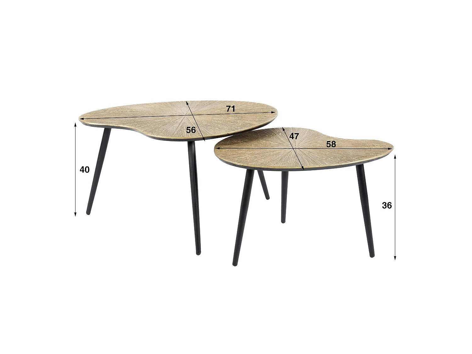 Table basse organique, feuille de ginkgo stylisée (lot de 2) RALF
