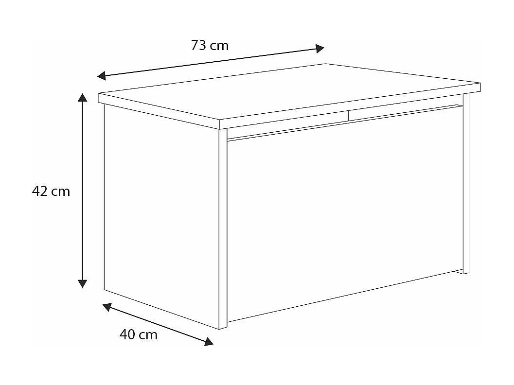 Spielzeugtruhe Daria - Sicherer und stilvoller Stauraum für Kinderzimmer