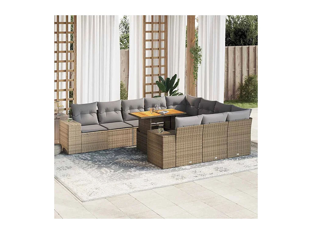 Salon de jardin avec coussins 10pcs beige résine tressée acacia