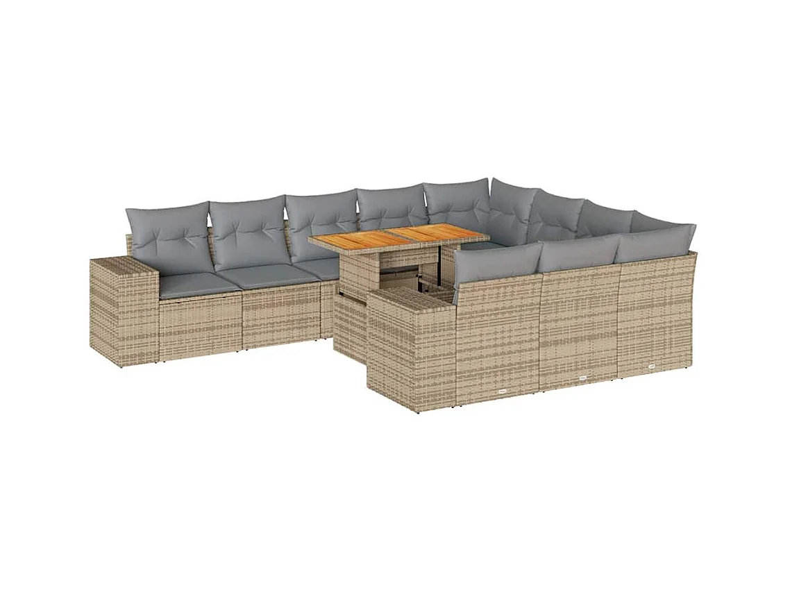 Salon de jardin avec coussins 10pcs beige résine tressée acacia